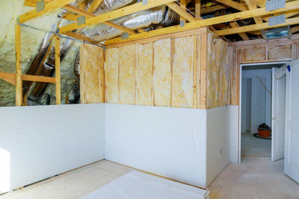 Best Energy Efficiency Solutions in Okawvle, IL