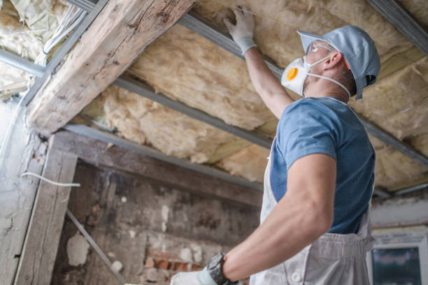 Best Insulation Materials and Products in Okawvle, IL