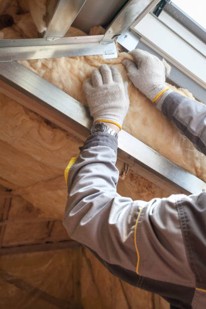 Best Insulation Maintenance and Repair in Okawvle, IL