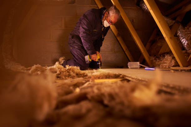 Best Insulation for Specific Applications in Okawvle, IL